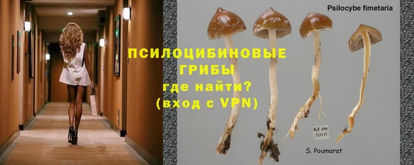 MESCALINE Алексин