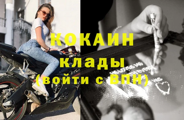 прущие грибы Кулебаки
