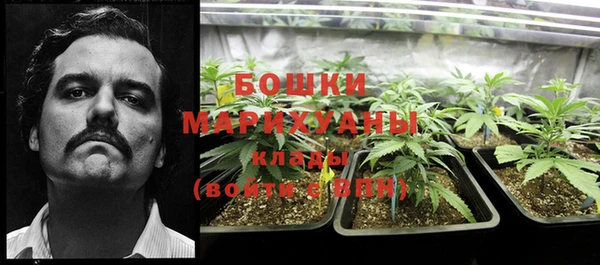 прущие грибы Кулебаки
