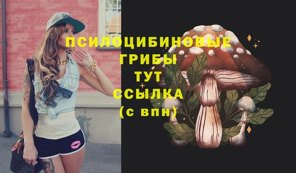 твердый Алексеевка