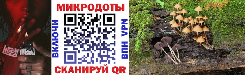 Галлюциногенные грибы прущие грибы  Алексеевка 